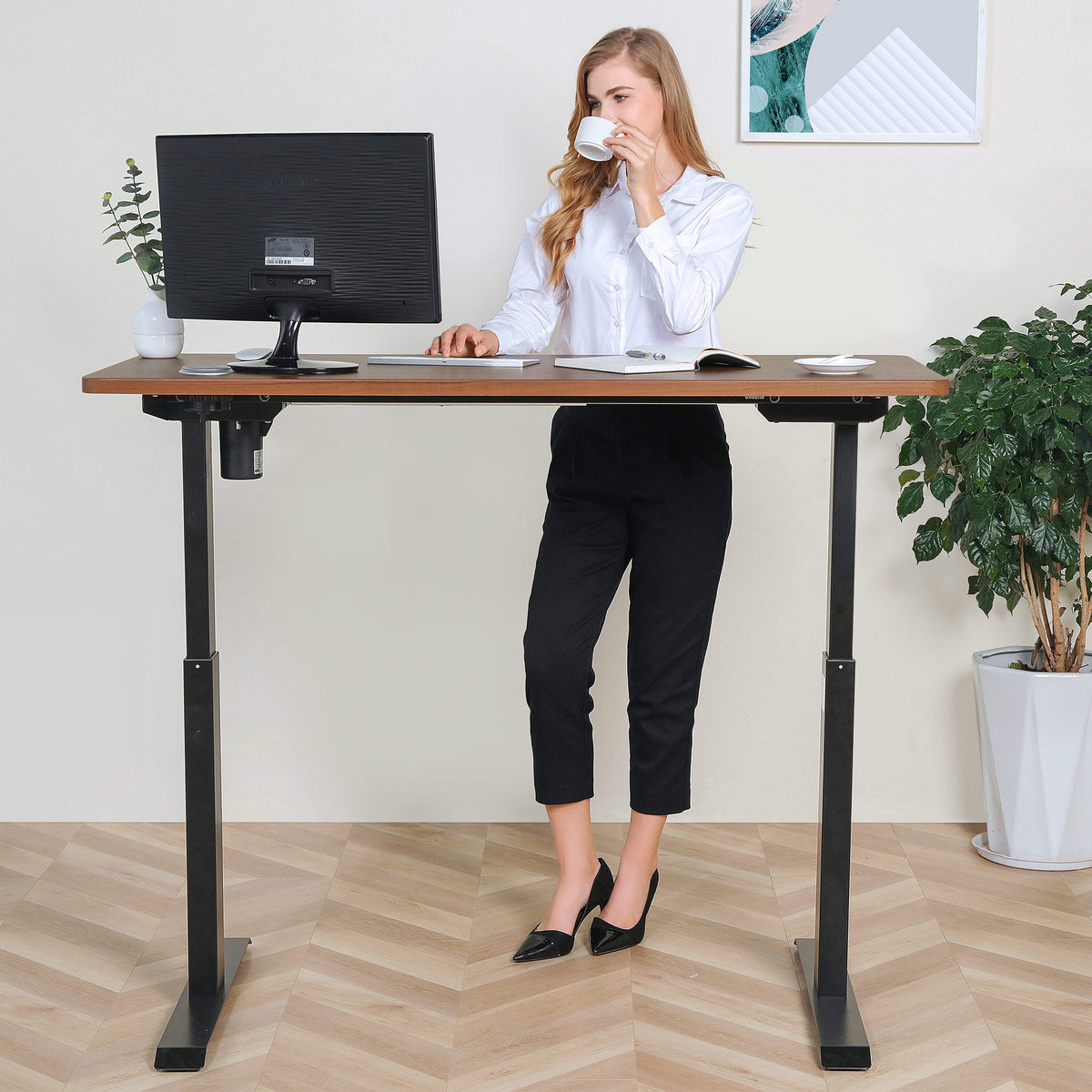 BRODAN Electric Standing Desk with Power Charging Station, 54x24, Waln